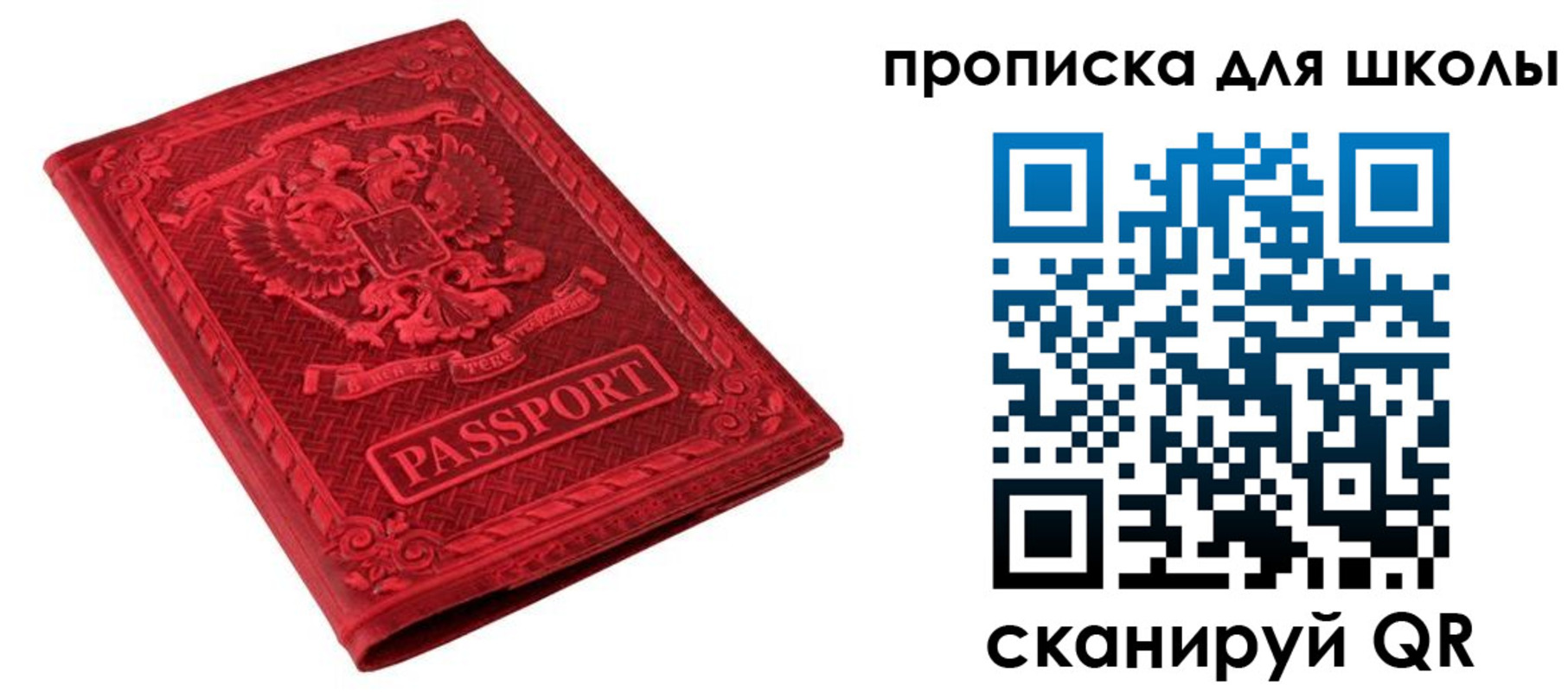 миграционный учет в Владимирской области